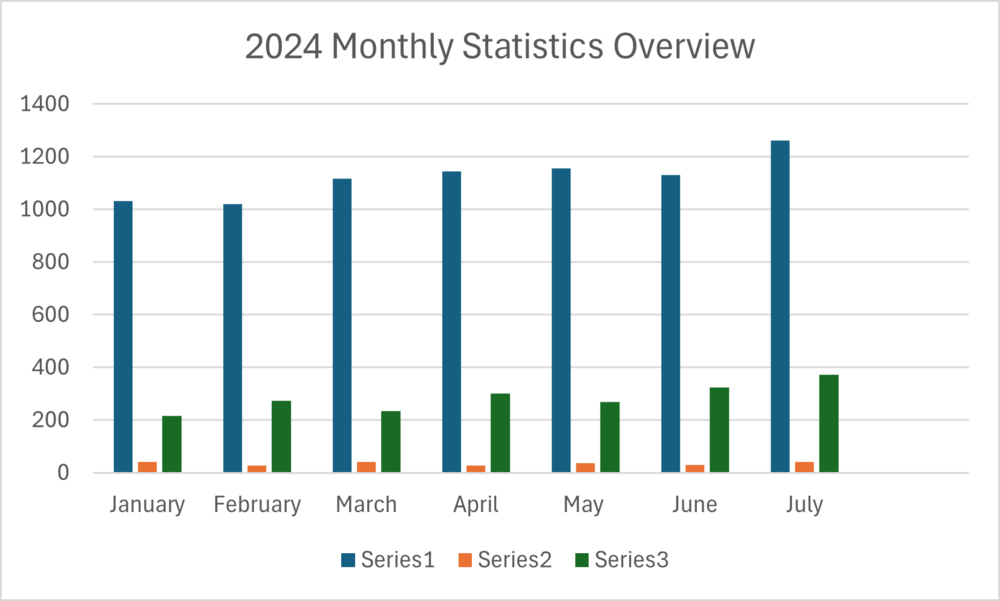 Statistic Bar Graph 2024